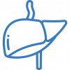 liver